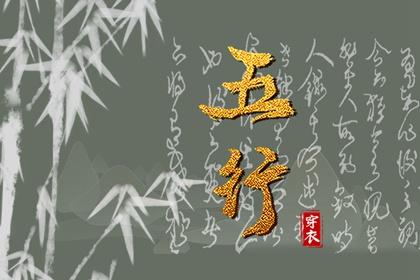 如何读纳音